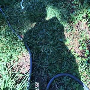 Meet your Posher, Suzanne